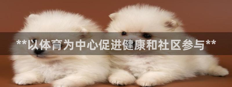 星欧娱乐是什么品牌