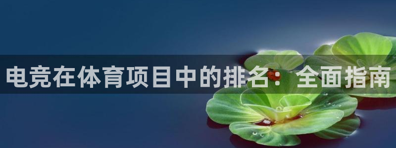 星欧娱乐退款流程详解