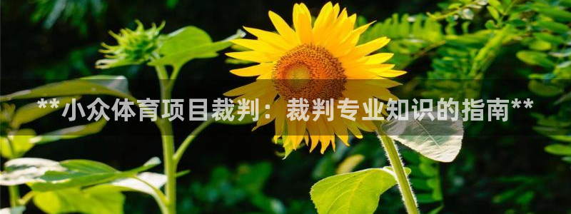 星欧娱乐彩票软件下载安卓