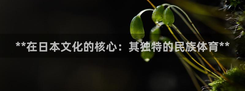 星欧娱乐挂机赚钱是真的吗