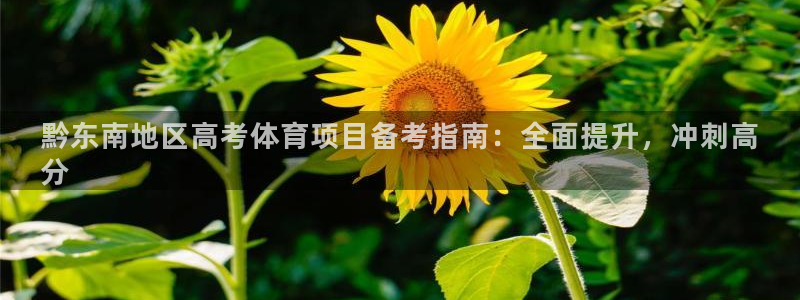 星欧娱乐公司地址