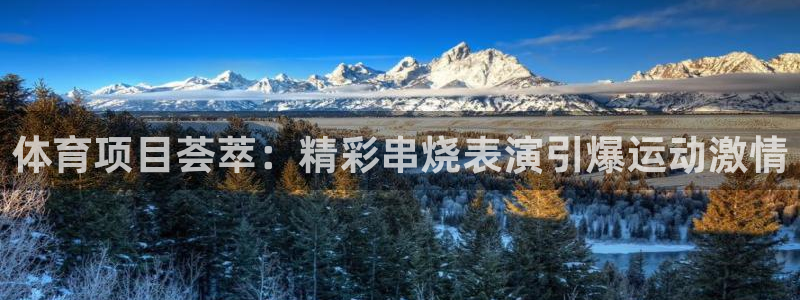 星欧娱乐信存手机版下载