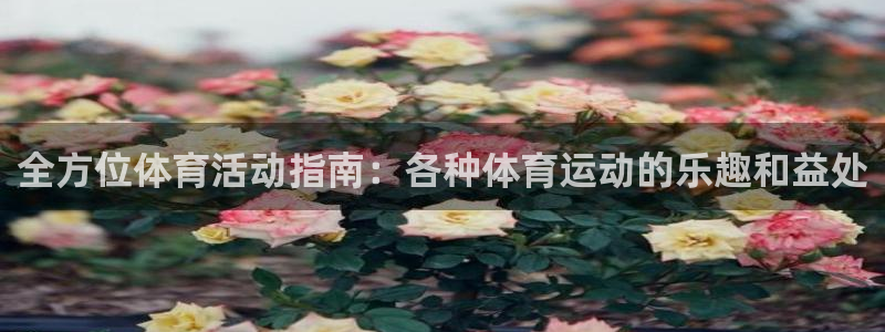 星欧娱乐会员优惠活动