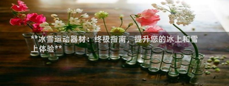 星欧娱乐联4.8.5.6.2.4.3下载