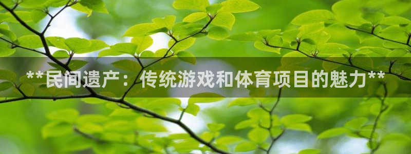 星欧娱乐属于什么档次的软件公司