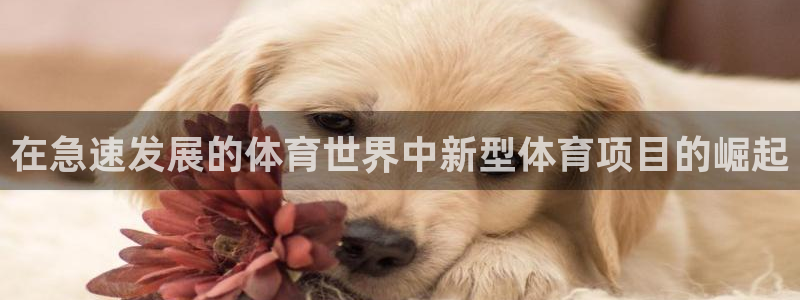 星欧娱乐是正规平台吗