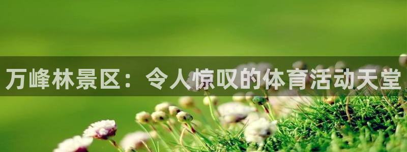 星欧娱乐工711.11是正规的吗