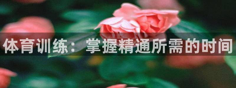 星欧娱乐下载最新版本更新内容