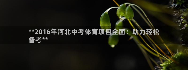 星欧娱乐公司创始人背景故事是什么