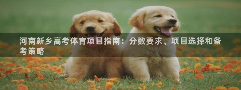 星欧娱乐挂机