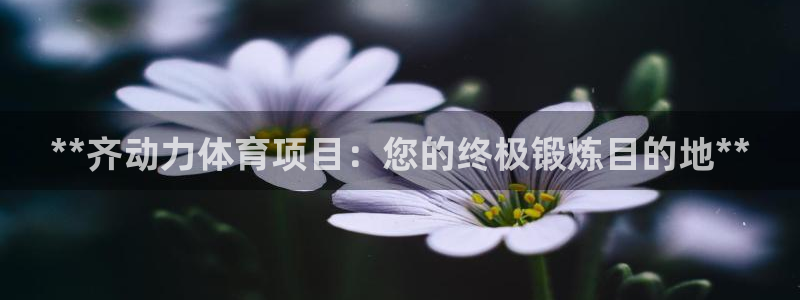 星欧娱乐平台怎么样可靠吗