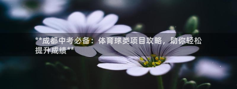 星欧娱乐扣款流程详解视频教程