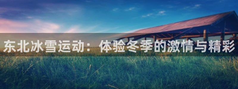 星欧娱乐公司简介