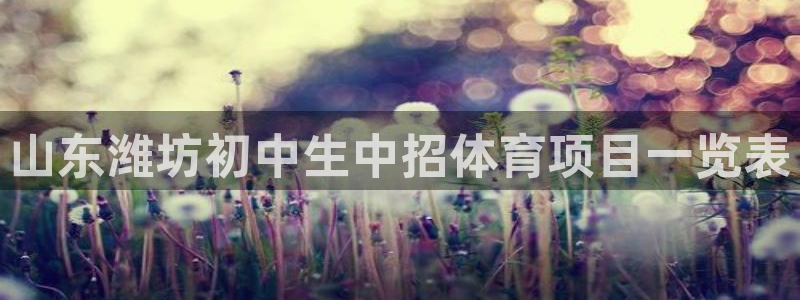 星欧娱乐扣款时间查询方法是什么呢