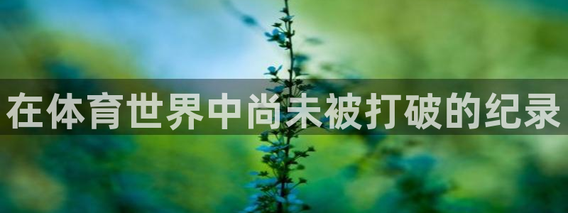星奥娱乐旗下艺人