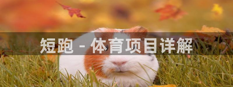 星奥盛典娱乐会所