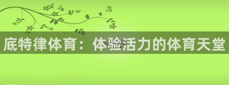 星欧娱乐app最新版本更新内容是什么