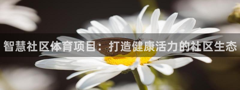星欧娱乐用户名和密码