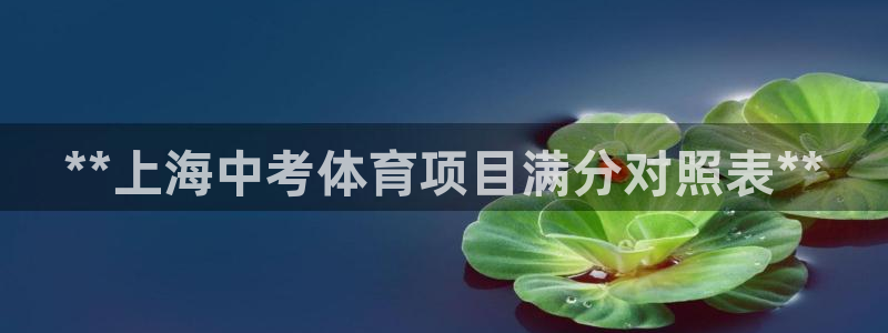 星欧娱乐扣款流程详解