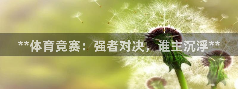 星欧娱乐是正规平台吗安全吗是真的吗