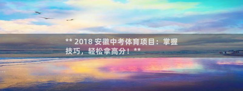 星欧娱乐公司