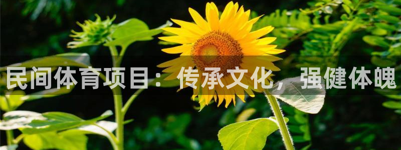 星欧娱乐的官方版本更新内容怎么删除