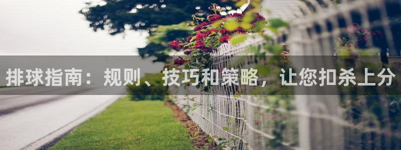 星欧娱乐退款流程详解