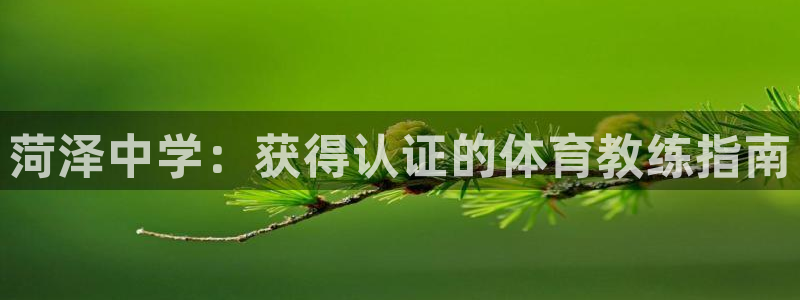 星欧娱乐的创始人背景故事简介
