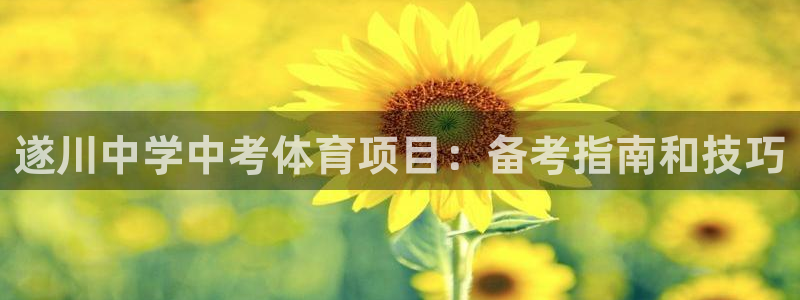 星澳娱乐公司简介