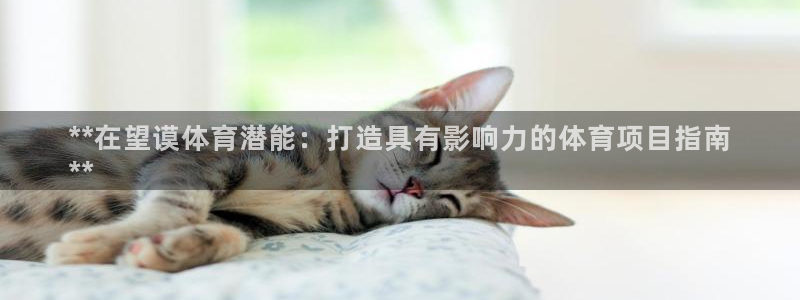 星欧娱乐扣款流程详解视频教程