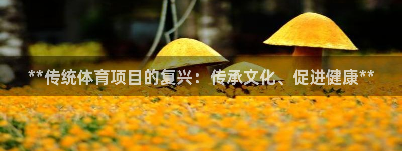 星欧娱乐扣款时间查询方法怎么查不到