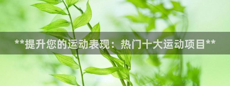 星奥娱乐集团官网