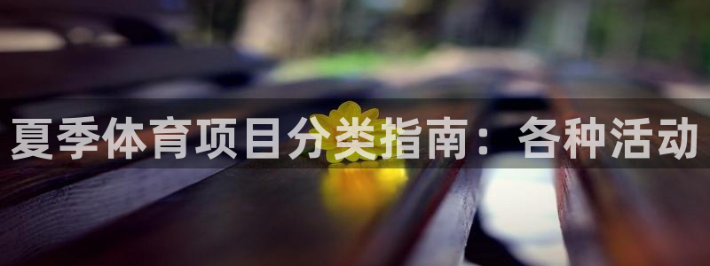星欧娱乐属于什么档次的软件公司