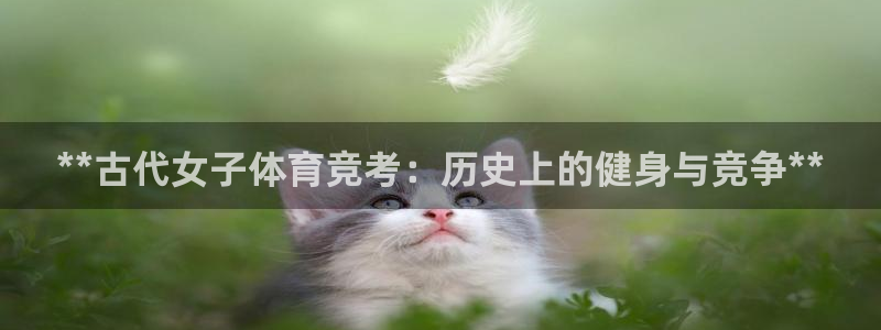 星欧娱乐平台测速线路设置