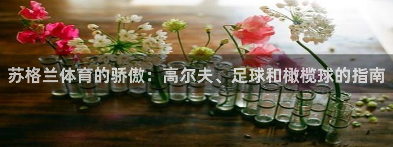 江苏星奥娱乐有限公司