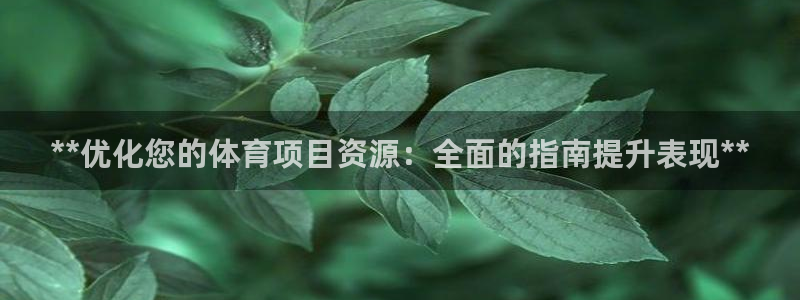 星欧娱乐扣款流程详解图高清