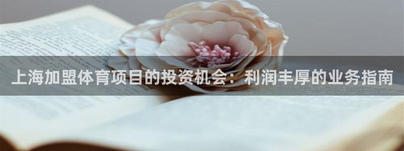 星欧娱乐扣款时间查询方法是什么意思