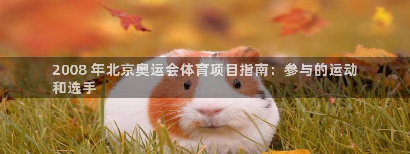 星欧娱乐平台怎么样知乎推荐