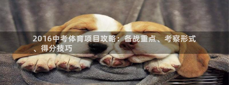 星欧娱乐工711.11是正规的吗