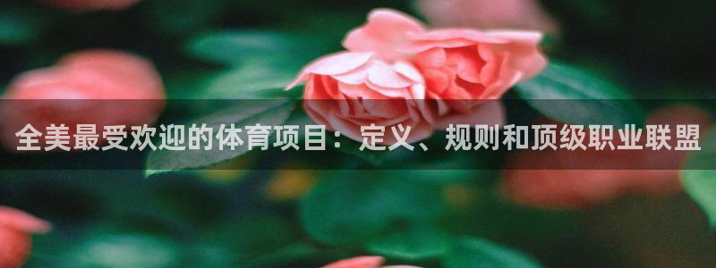 星欧娱乐