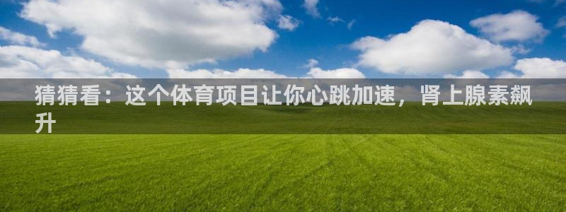 永韬星娱乐
