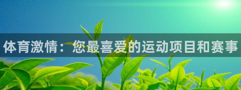 星欧娱乐挂机教程视频