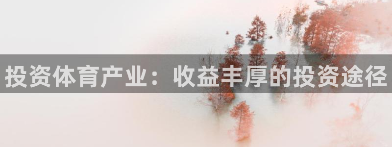 星欧娱乐雀V是什么平台