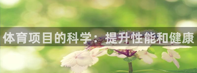 星欧娱乐扣款流程详解图片大全