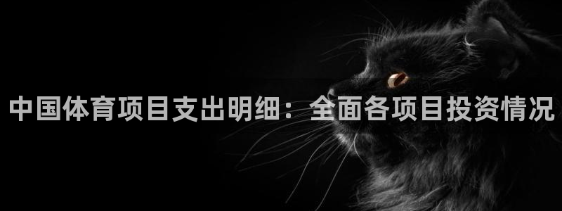 星欧娱乐挂机教程