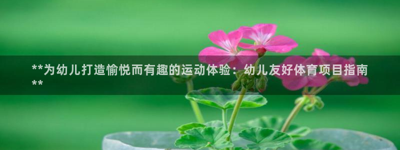 星欧娱乐属于什么档次的公司啊