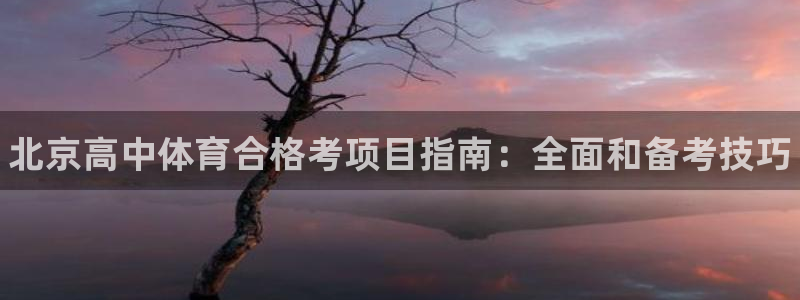星欧娱乐官网首页入口
