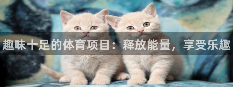 星奥娱乐集团股份有限公司招聘