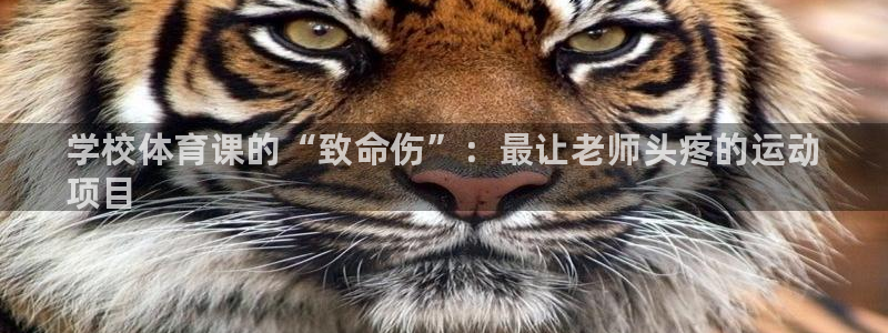 星欧娱乐属于什么档次的软件啊