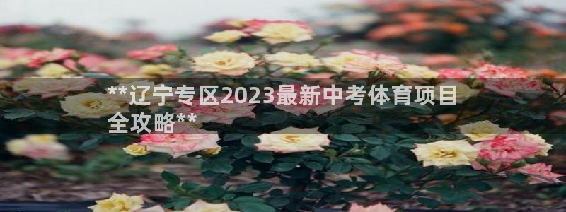 星欧娱乐是正规平台吗知乎